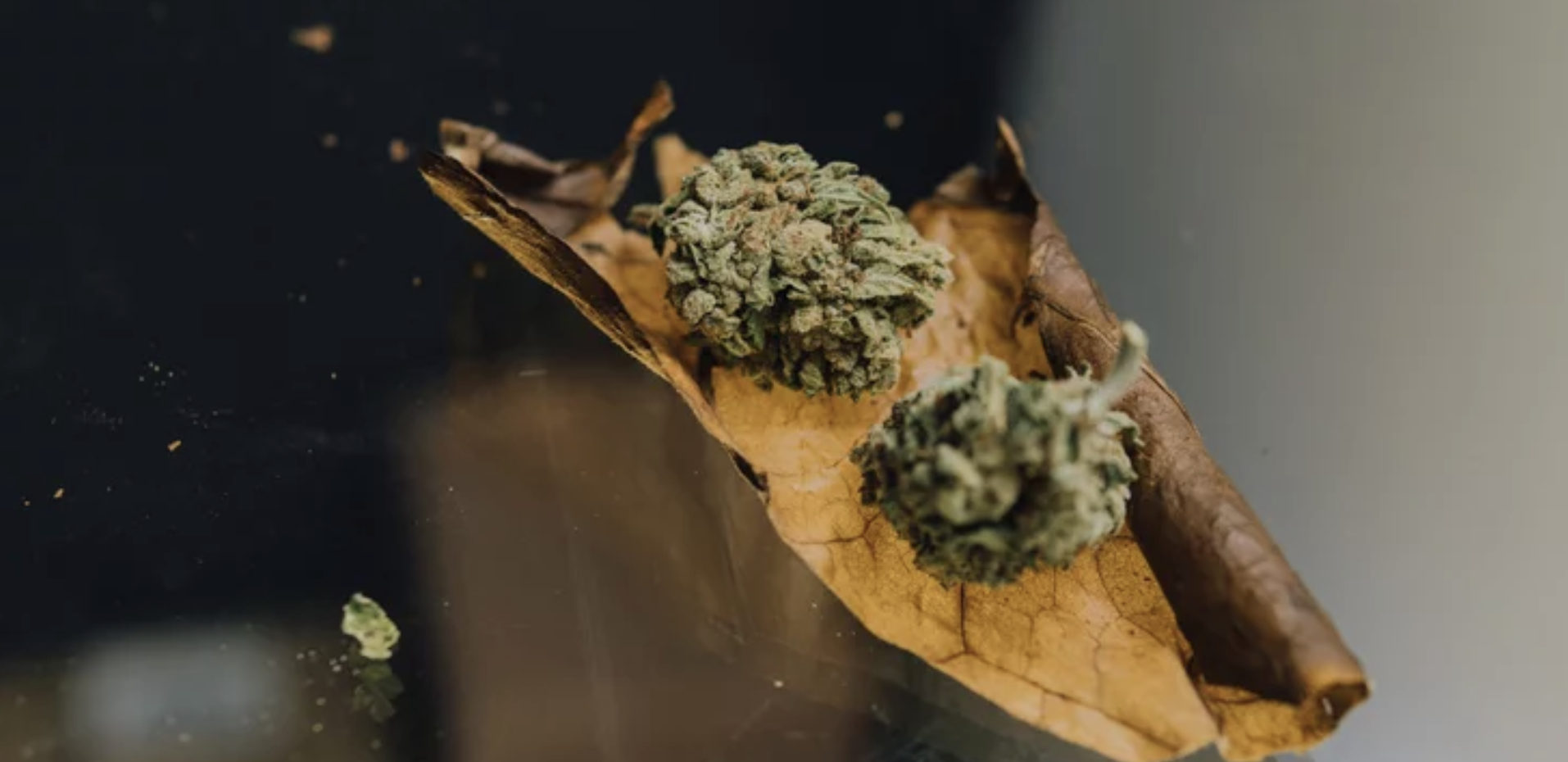 Tips for Rolling the Perfect Blunt - Mile High Dispensary